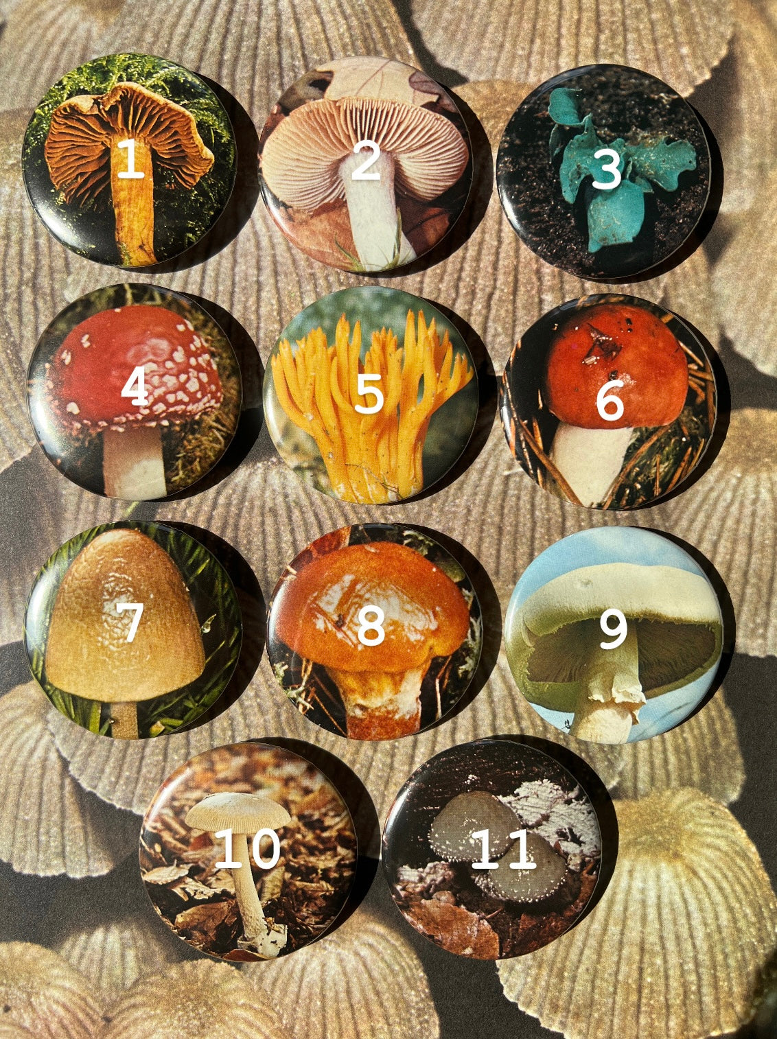 Mushroom Button