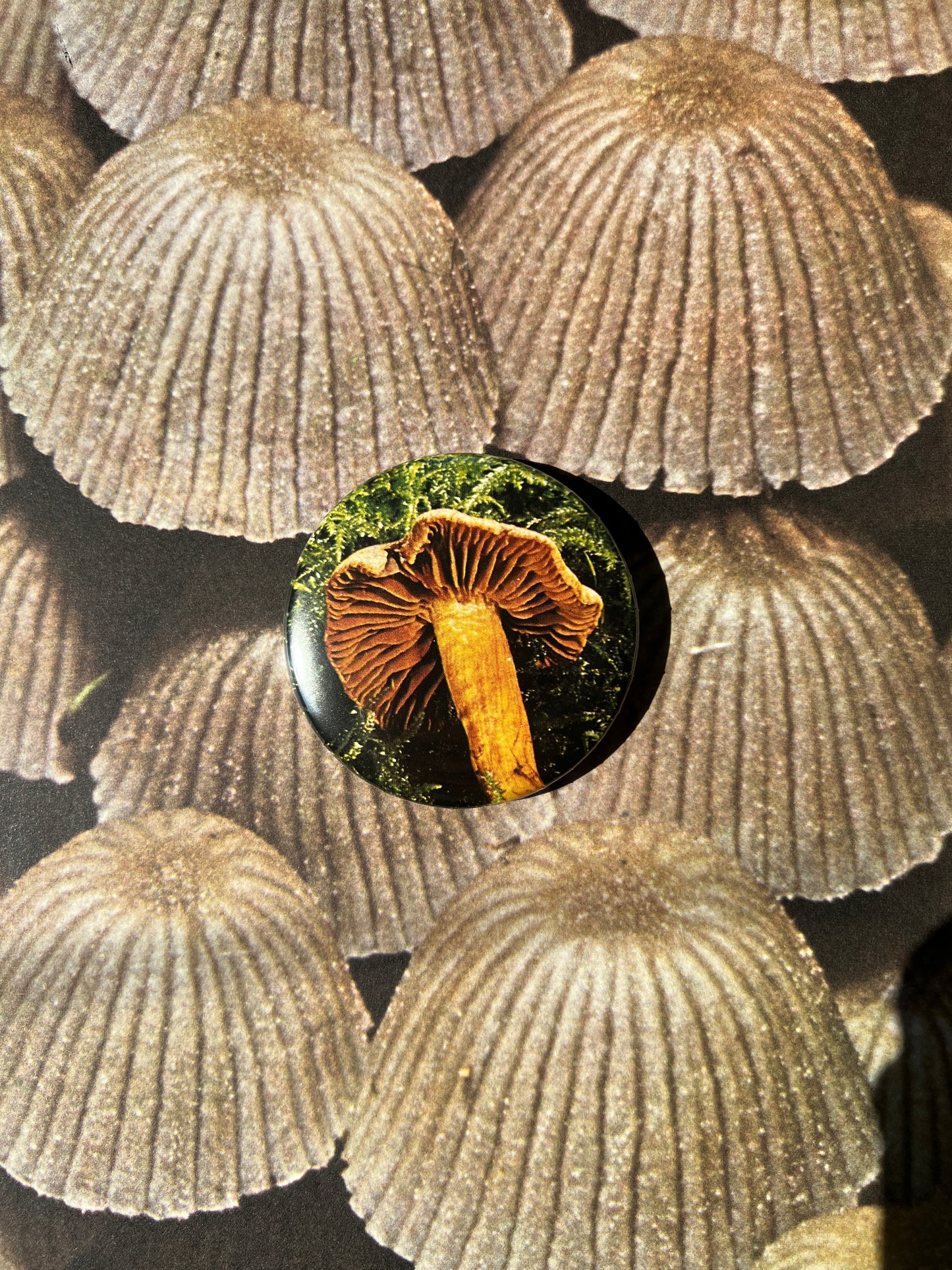 Mushroom Button