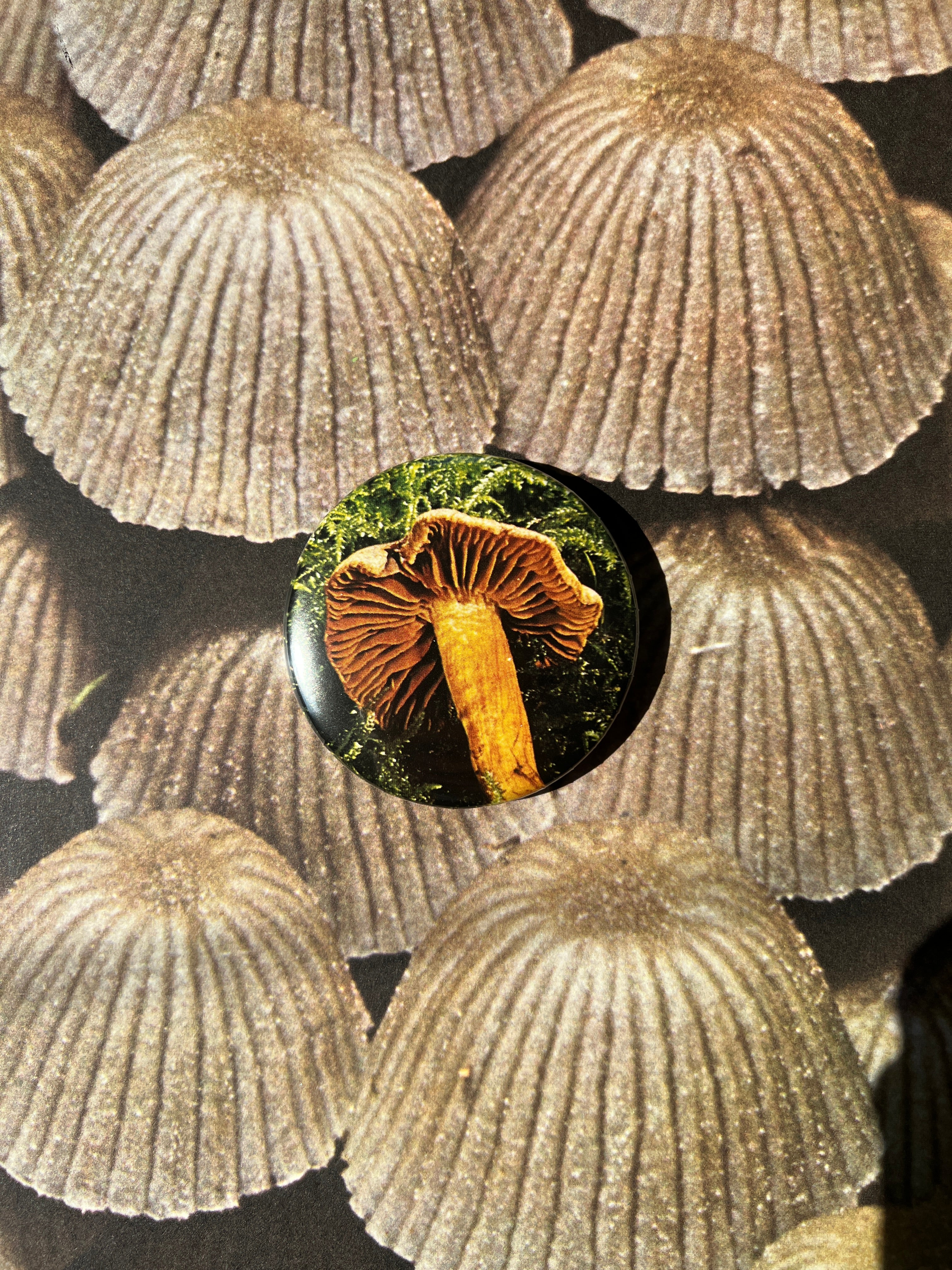 Mushroom Button