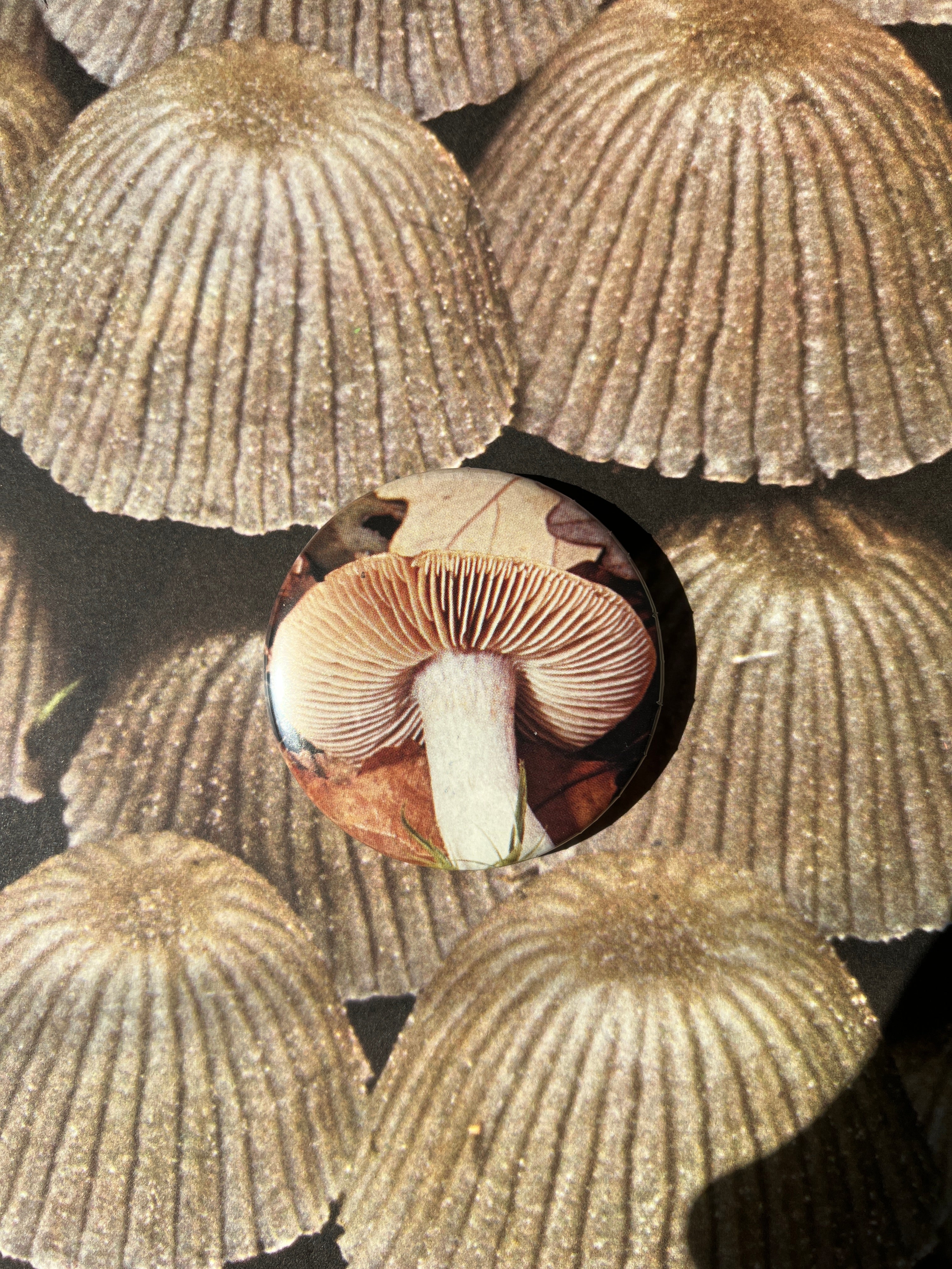 Mushroom Button