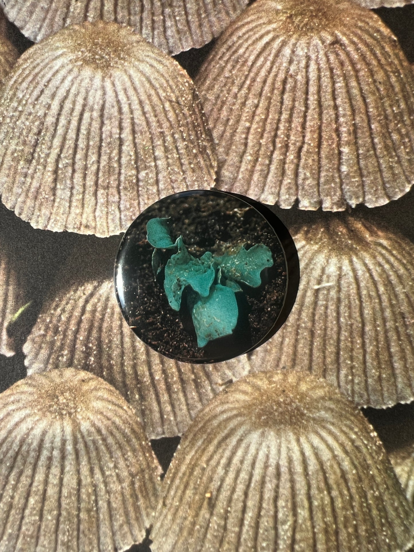 Mushroom Button