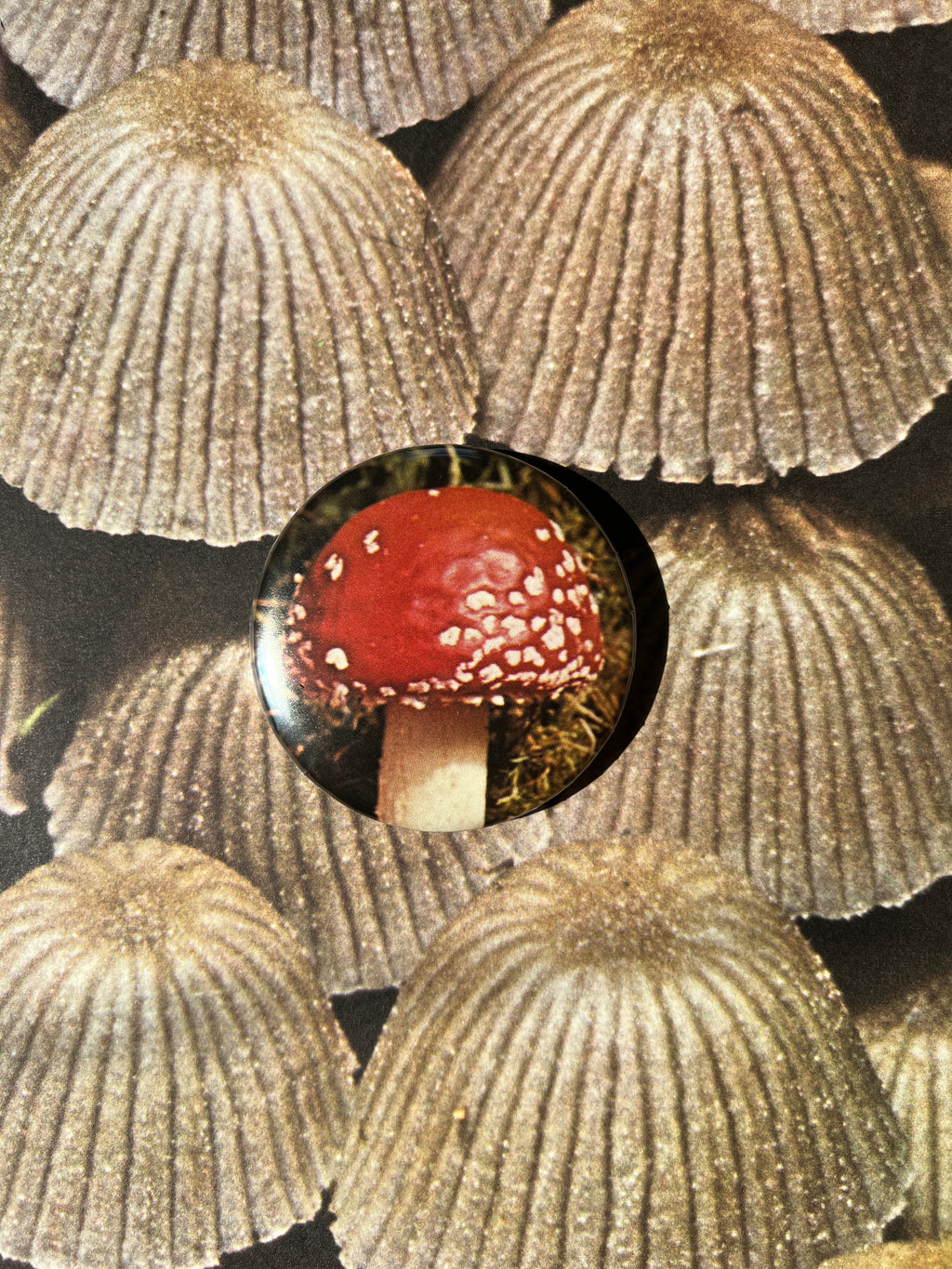 Mushroom Button