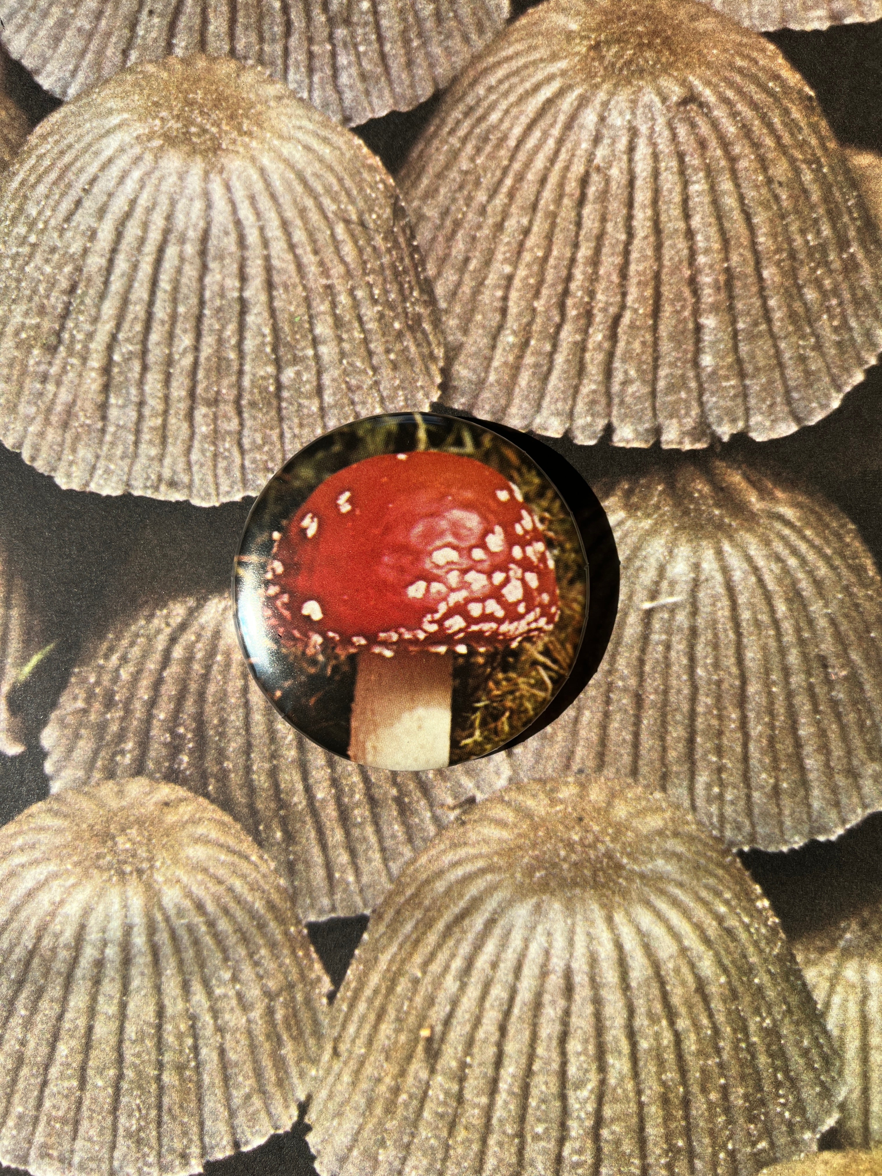 Mushroom Button