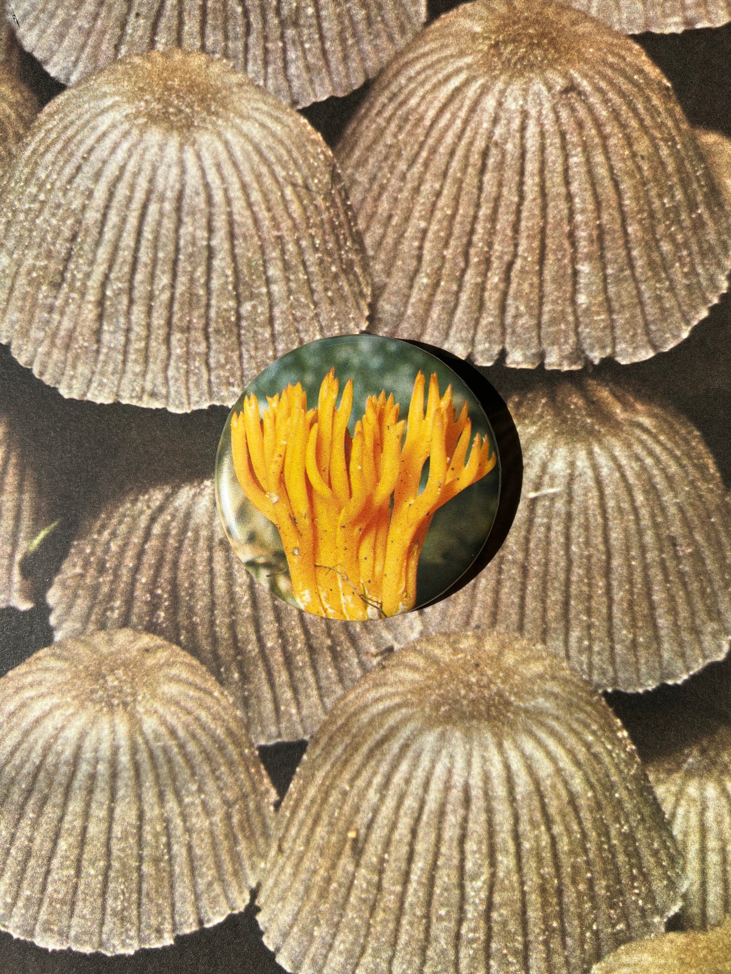 Mushroom Button