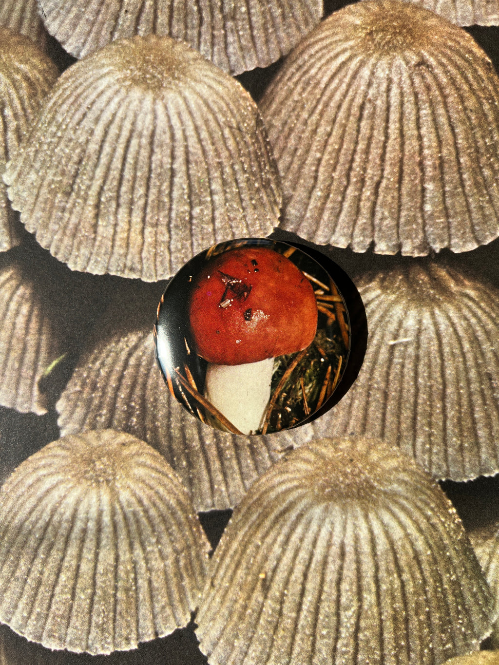Mushroom Button