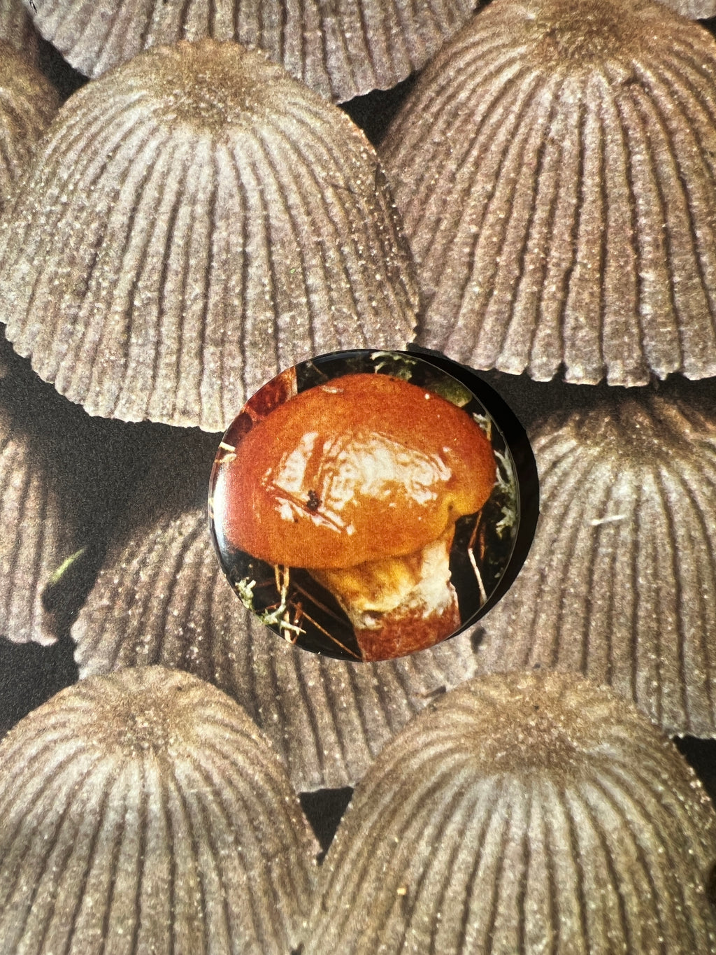 Mushroom Button