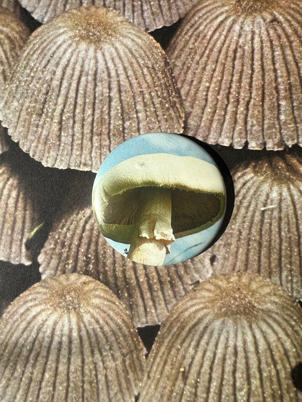 Mushroom Button