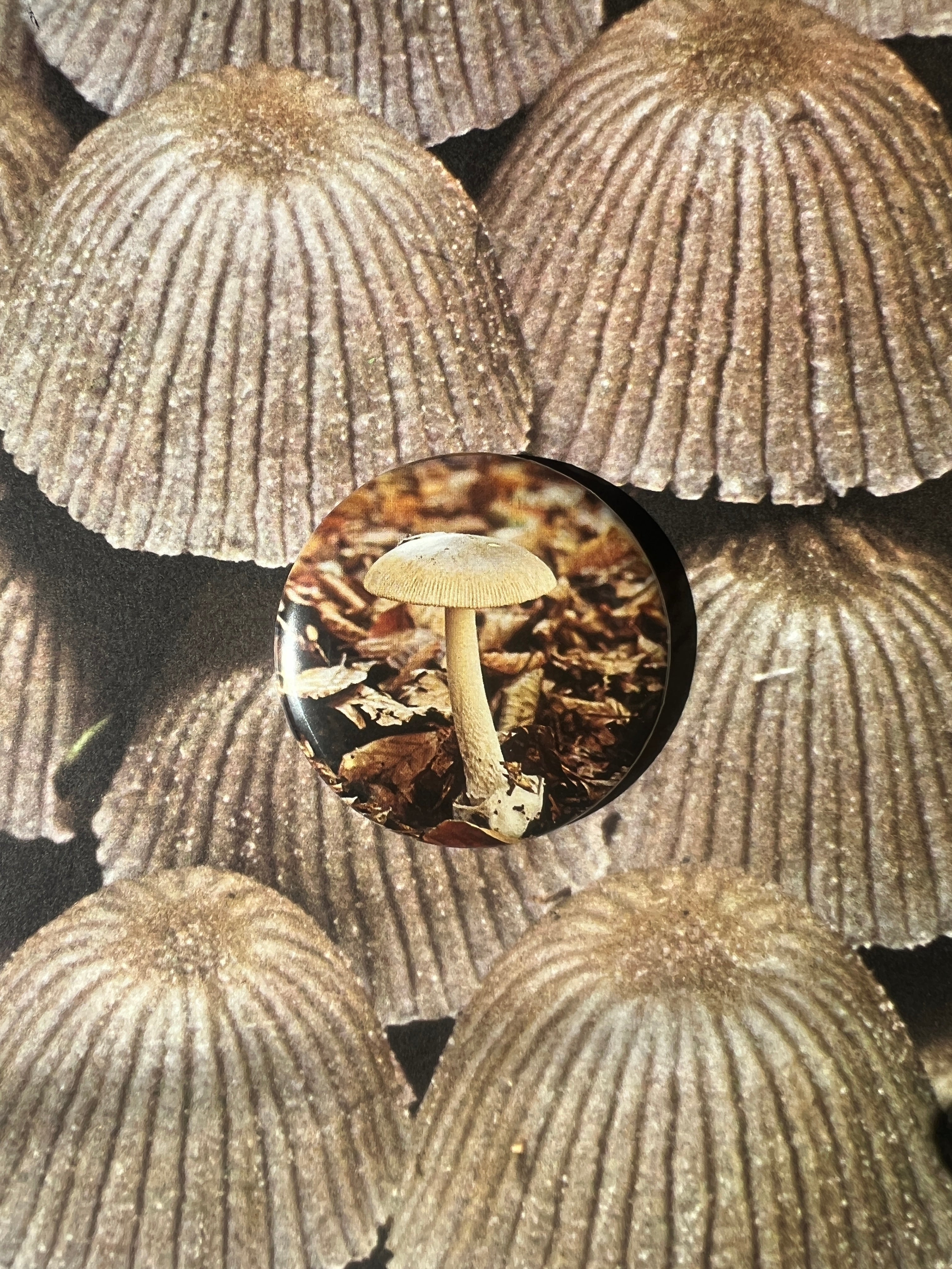 Mushroom Button