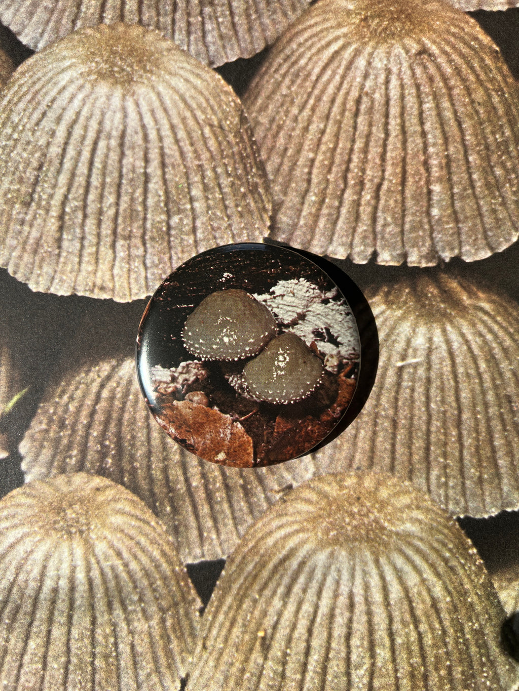 Mushroom Button