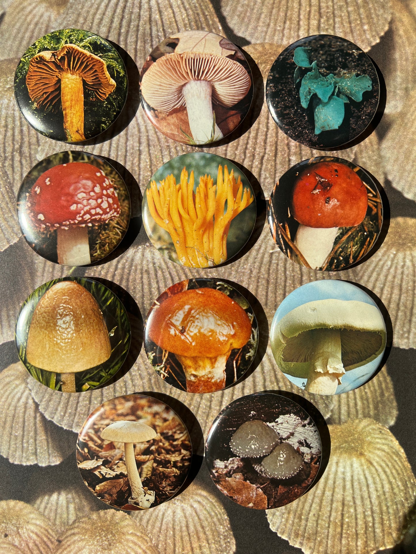 Mushroom Button