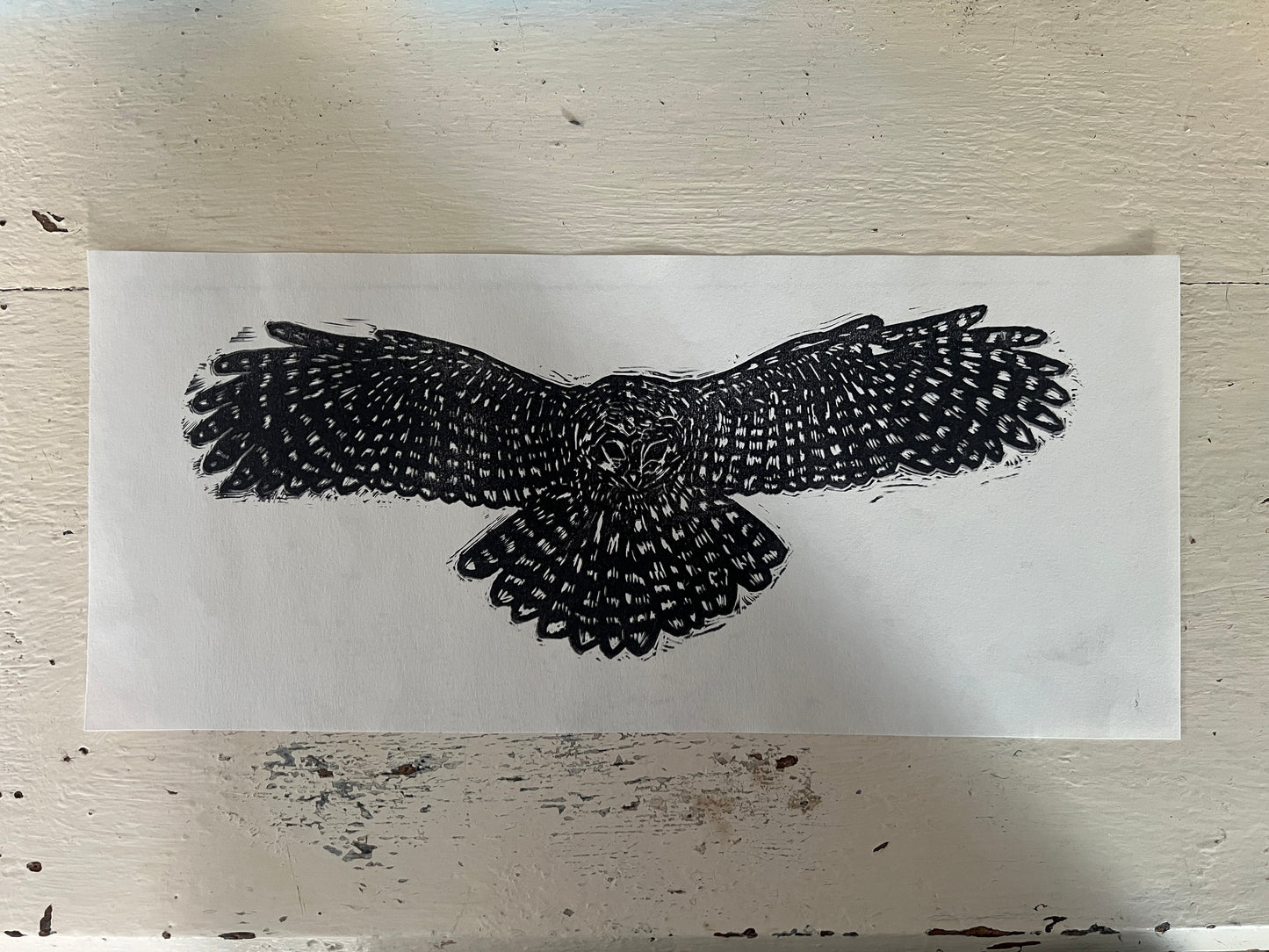 Owl Print